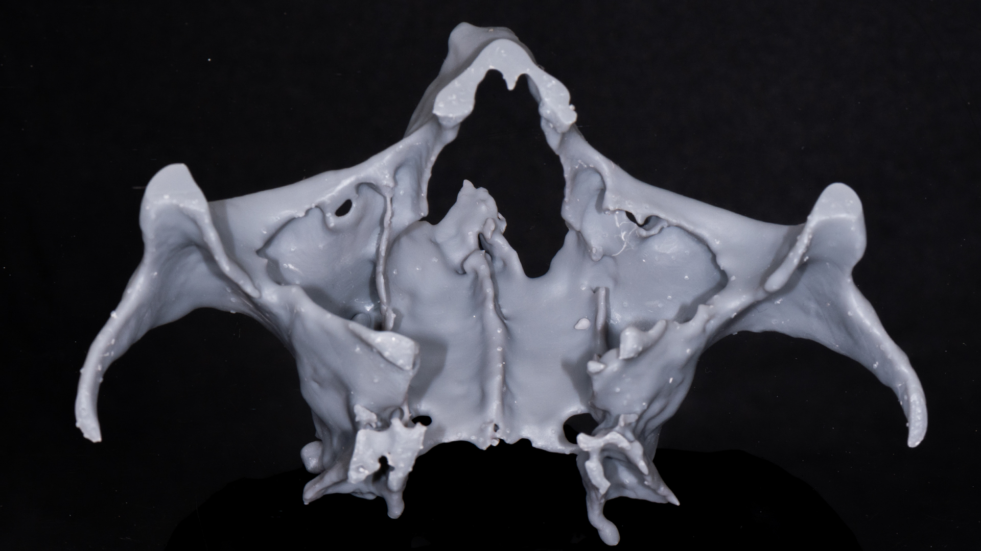 3D model — planning